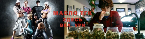 ПСИЛОЦИБИНОВЫЕ ГРИБЫ Новозыбков