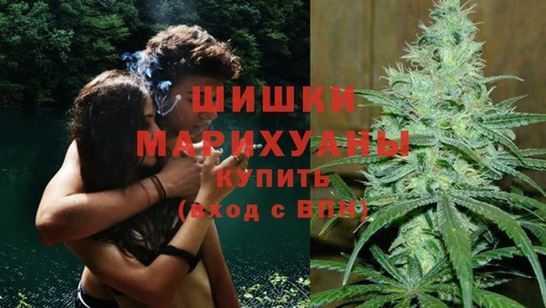 ПСИЛОЦИБИНОВЫЕ ГРИБЫ Новозыбков