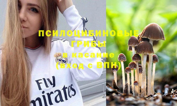 ПСИЛОЦИБИНОВЫЕ ГРИБЫ Новозыбков