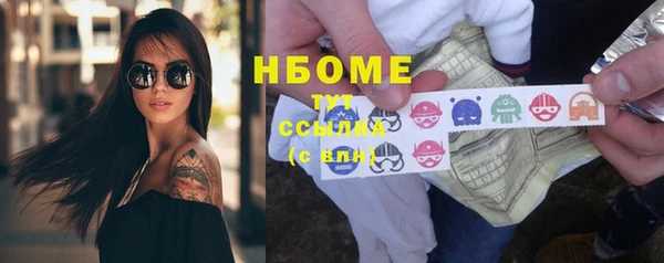 ПСИЛОЦИБИНОВЫЕ ГРИБЫ Новозыбков