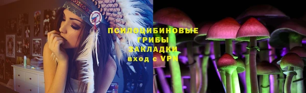 не бодяженный Новодвинск