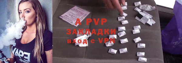 ПСИЛОЦИБИНОВЫЕ ГРИБЫ Новозыбков