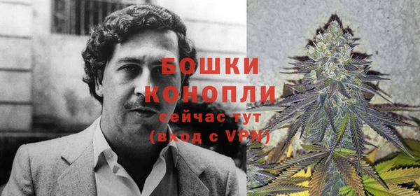 ПСИЛОЦИБИНОВЫЕ ГРИБЫ Новозыбков