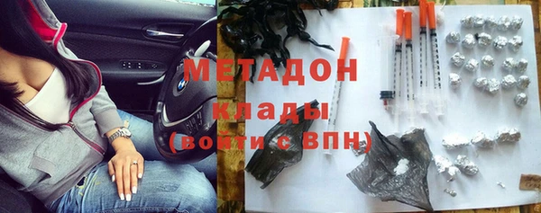 ПСИЛОЦИБИНОВЫЕ ГРИБЫ Новозыбков