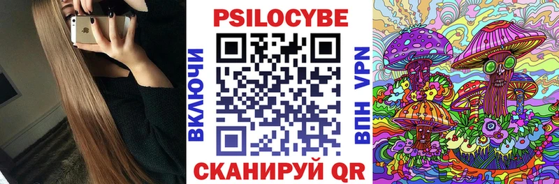 Галлюциногенные грибы Psilocybine cubensis Княгинино